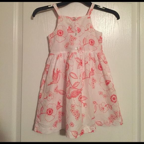 Birdie Coral Dress - Picture 3 of 5
